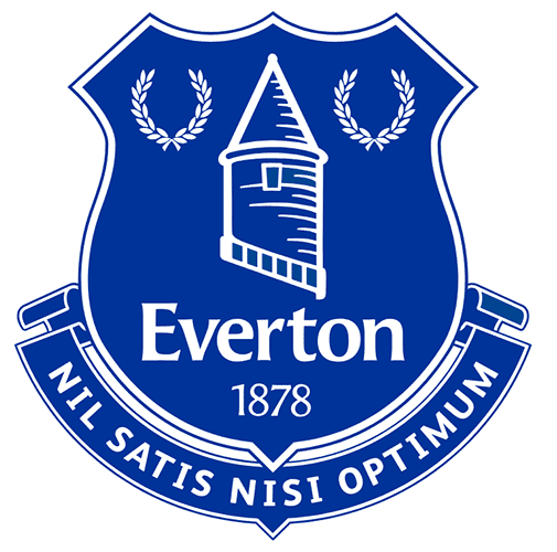 Clearance! 20x Everton Women's Hummel Football Shirts RRP £60 Only £5.00 + VAT each